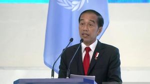 Berita Bali Terkini: Presiden Jokowi Paparkan Keberhasilan Indonesia Turunkan Kebakaran Hutan di Forum GPDRR 