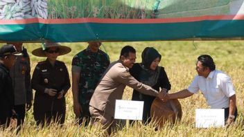 وزارة الزراعة تضمن أن إنتاج الأرز في بانتين آمن في أوائل عام 2023
