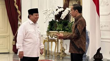 PDIP Tegaskan Jokowi Tepis Isu Dukung Prabowo di Pilpres 2024