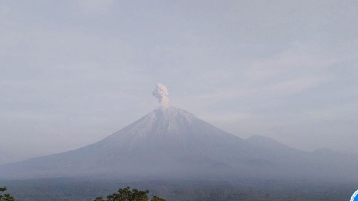 L'éruption du mont Semeru est tombée 6 fois ce matin, l'éruption d'Abu atteint 900 mètres