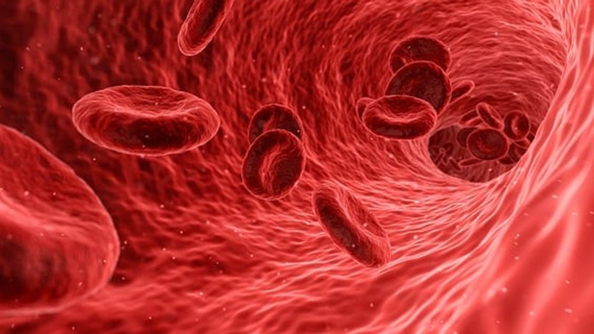 血液中增加血红蛋白的6种食物,从牛肝到蔬菜