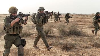 Les soldats israéliens attaqués par des abelons dans la bande de Gaza