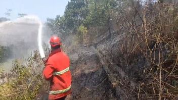 Firefighters Extinguished 3 Locations Of Forest And Land Fires In South Lampung