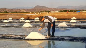 这五个地点是Tambak Garam地区为了Swasembada 2027而扩展和加强的模型