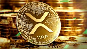 调查:Holder XRP将以100美元的价格退出