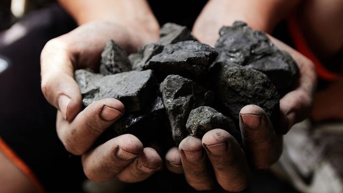 Coal Exports In June 2023 Drop Triggered By Volume Reduction And Price