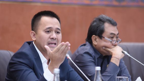 Pemerintah Jangan Jadi ‘Macan Ompong’ Berantas Pinjol-Judol