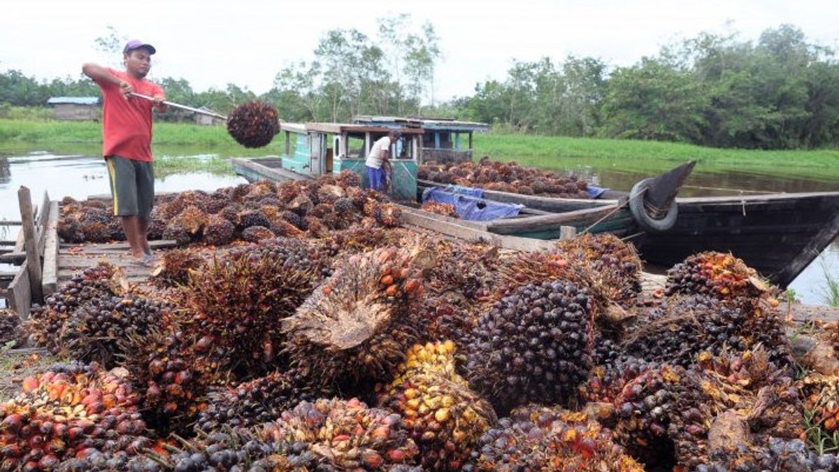 Londres Sumatra, Cette Société De Palmiers à Huile Détenue Par Le Conglomérat Anthony Salim Réalise Un Bénéfice De 696 Milliards D’IDR En 2020