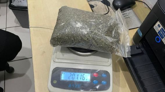 Damai Cartenz Contact Shooting in Maima Jayawijaya, 1 名KKB成员 携带大麻死亡