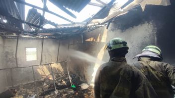蚊忌避剤の火傷で焦げたカクンの2階建ての家