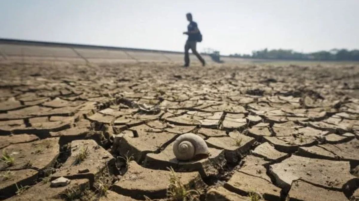 Bantul Is Still On Standby For Drought Emergency Even Though November Is In The Rainy Season