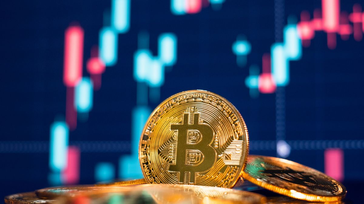 Crypto Market Collapses, Long-Term Bitcoin Holders Remain Hodl BTC