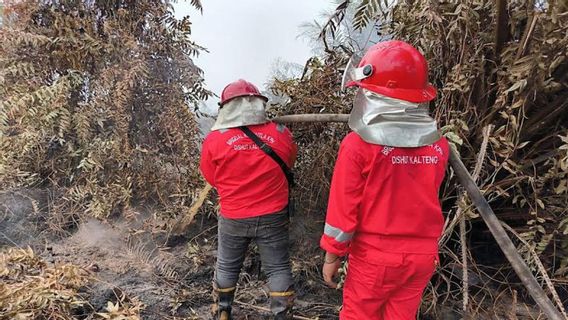 Tim Gabungan Padamkan Kebakaran Lahan di Barito Timur Kalteng