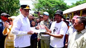 Kontes Sapi Ternak Meriahkan Festival Ketupat di Gorontalo