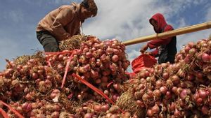 冷冻洋葱价格为每公斤80,000印尼盾,IKAPPI要求政府加快爪哇以外地区的分销