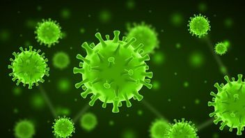 Ilmuwan AS Temukan Virus Baru, Punya Tingkat Kematian Tinggi Seperti Virus Nipah