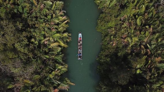 印度尼西亚及国外保护林的例子