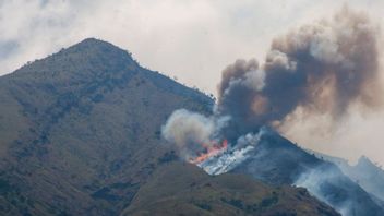 BNPB将使用水爆技术扑灭默巴布山的森林火灾