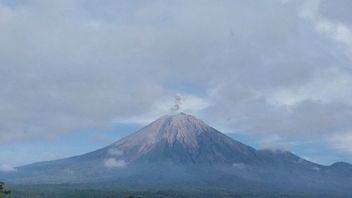 PVBMG Evaluasi Gunung Semeru yang Berstatus Waspada