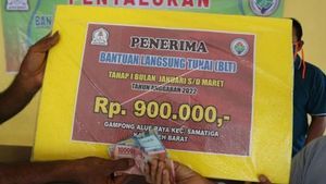 Pemerintah Anggarkan Dana Desa untuk 3 Desa Tak Berpenghuni di Aceh, Uang Tak Bisa Cair