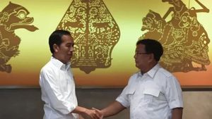 Projo Sebut Dukungan Jokowi ke Prabowo Tak Sekadar Basa-Basi, Gerindra: Sejalan dengan Kinerja di Kemhan