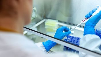 Why Do Humans Do Biotechnology? Here's The Explanation!