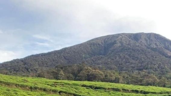 Gunung Api Dempo di Pagaralam Erupsi, Terjadi Letusan Abu Vulkanik dan Getaran