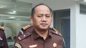 红色通缉令程序负责人切里尔·达马迪将成为国际刑警组织的逃犯