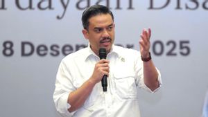 Menteri UMKM Sebut Kargo dan Ekspedisi jadi Penyebab Indonesia Kebanjiran Produk Cina