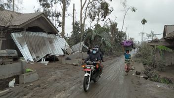Weather And Thick Hot Mud Are Obstacles To Evacuating Victims Of The Semeru Eruption