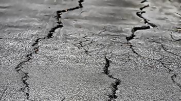 6.0 级地震震动穆科穆科西南部，无海啸潜力