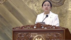 Puan Dukung Larangan Medsos Bagi Anak Usia di Bawah 16 Tahun: Saat Ini Kebebasan Terlalu Kebablasan