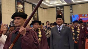 Prabowo 承诺将印度尼西亚带入可再生能源自给自足