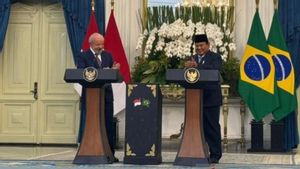Dari Jakarta, Prabowo-Lula Kompak Suarakan Gencatan Senjata di Palestina dan Ukraina