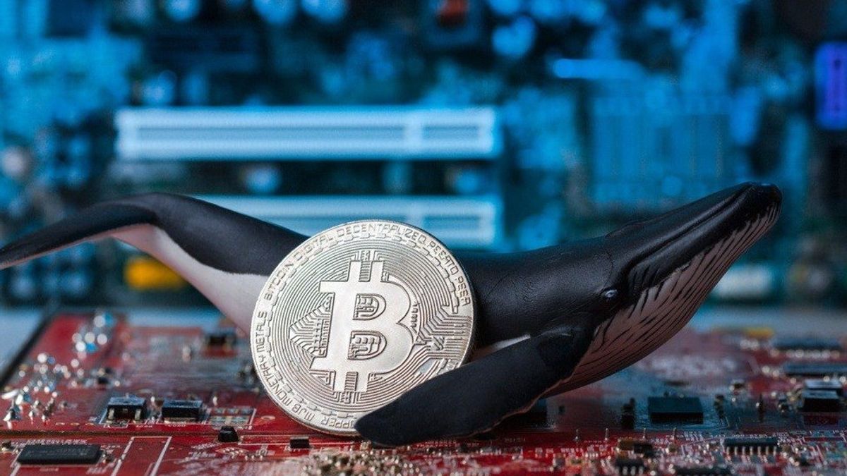 クジラビットコイン別の財布に15.058 BTCを転送します