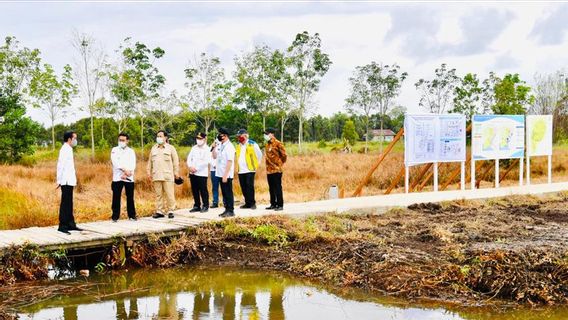 Indef 批评土地银行： 将使私人更容易获得廉价土地用于投资