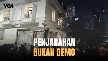 ズルキフリ・ハサンはデモが公共施設の略奪と燃焼に終わったことを残念に思います