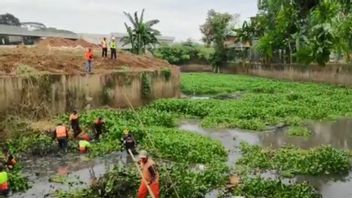 Kali Sunter Flow Rempli De Boue Et De Jacinthe, L’une Des Causes D’inondation Dans La Région De Cipinang Melayu