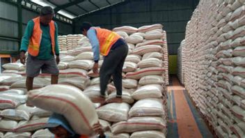 Good News! Rice Reserves In Cirebon Bulog Are Enough For The Next 13 Months
