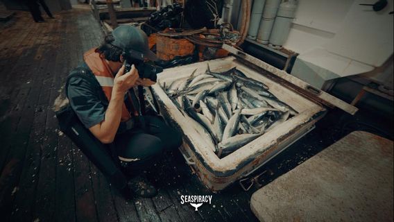 <i>Seaspiracy</i>: Ancaman Terbesar Laut Bukan Plastik tapi Ikan di Meja Makan Kita