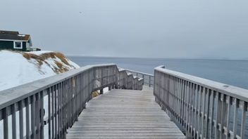 Parliament Deputy Chairman: Greenland's Independence Is Currently Unrealistic