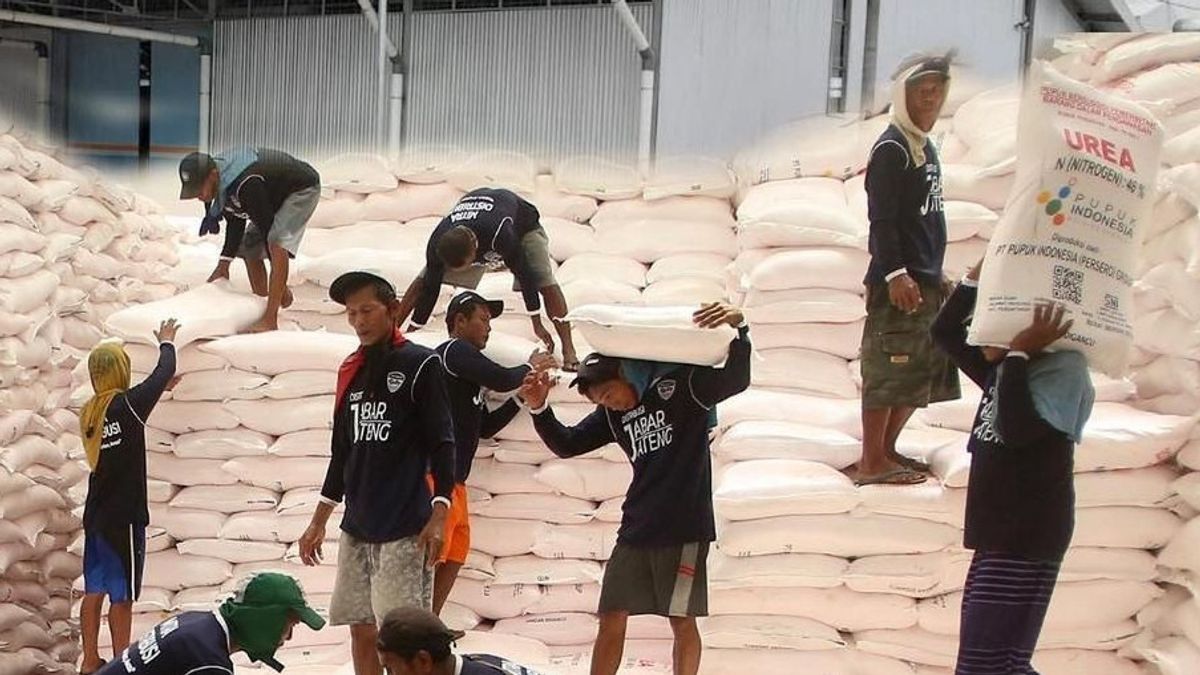 Jokowi Agrees To Subsidized Fertilizer Budget Plus IDR 14 Trillion