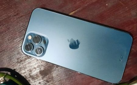 Ibu-ibu Curi iPhone Pro Max di Megamall Manado, Pelakunya Ternyata Residivis Copet