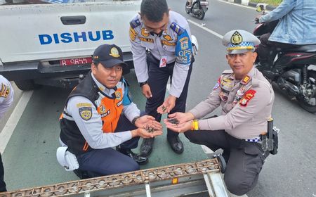 Petugas Gabungan Sterilisasi Ranjau Paku di Jalan DI Panjaitan