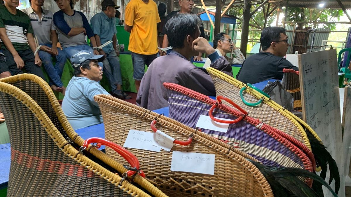 The Tricks Of The Cockfighting Gambling Committee In Bekasi, The Cup Match To Look Official