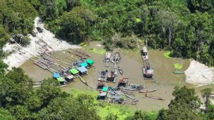 Kemenhut Tangkap 12 Penambang Emas Ilegal di Taman Nasional Tanjung Puting