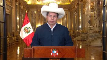 Memori Pemakzulan Presiden Peru, Pedro Castillo