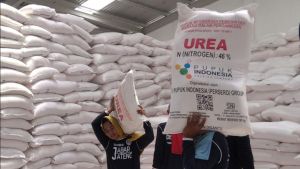 Soroti Penyaluran Pupuk Subsidi, BAKN: Belum Optimal dan Tepat Sasaran
