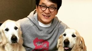 Masuk Gelombang Kelima, Jackie Chan Salurkan Bantuan untuk Korban COVID-19 di Hong Kong