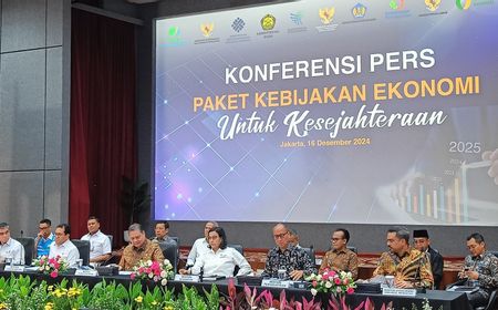 Ini Stimulus Insentif Fiskal di 2025 Redam Dampak PPN 12 Persen